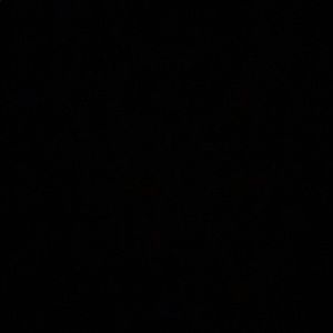 Meet your Posher, Ariel